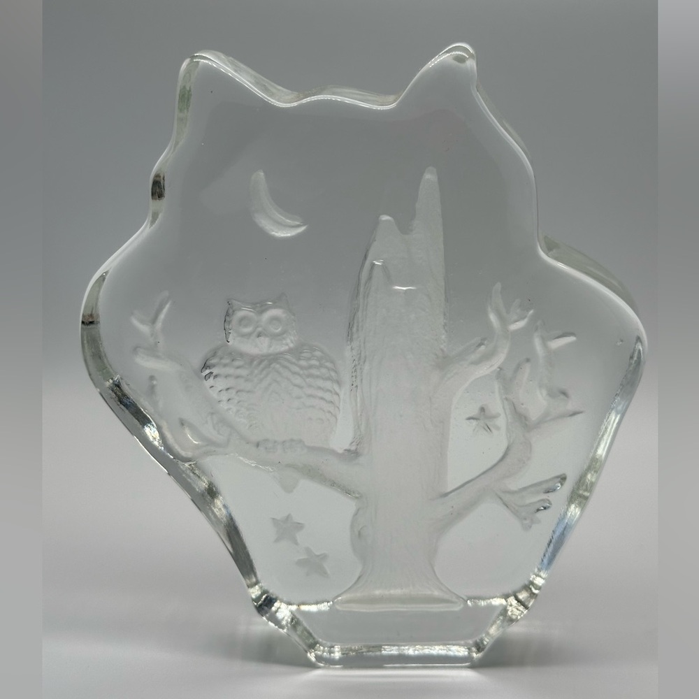 Vintage etched glass owl paperweight🦉🦉